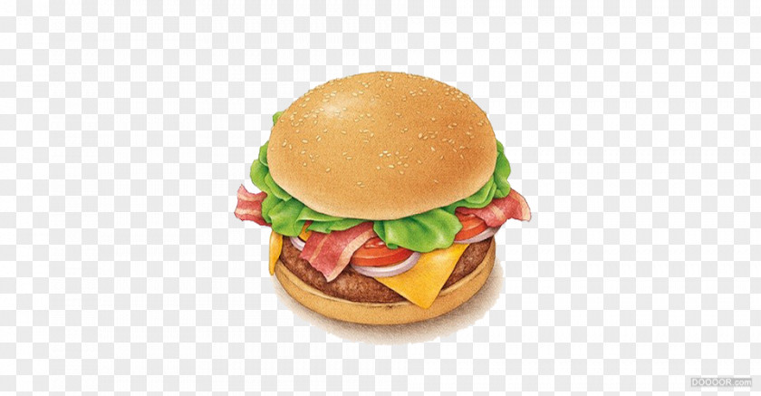 Simple Burger Illustrations Cheeseburger Hamburger Breakfast Sandwich Junk Food Nachos PNG