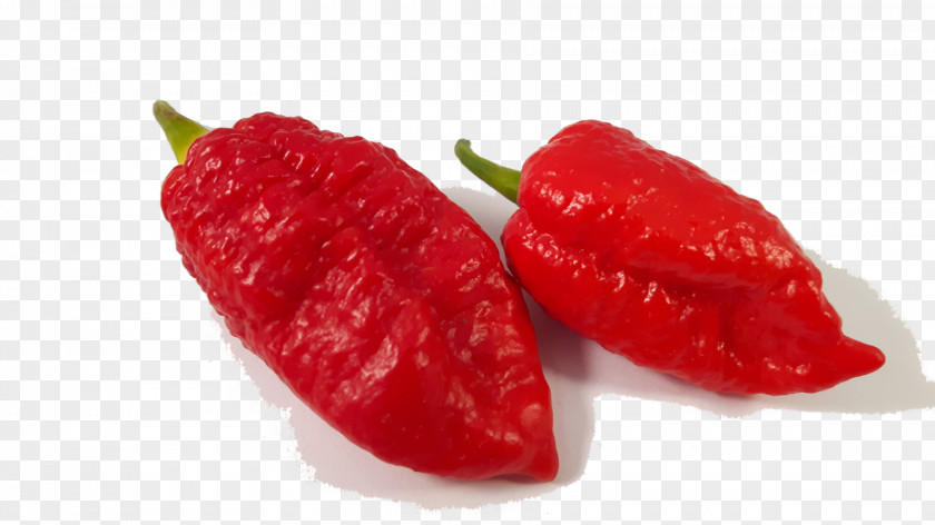 Spicy Hot Pot Habanero Piquillo Pepper Bird's Eye Chili Tabasco Cayenne PNG