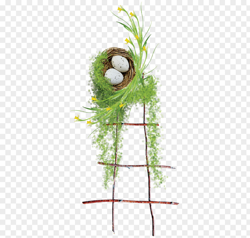 The Ladder Leading To Nest Floral Design Easter PNG