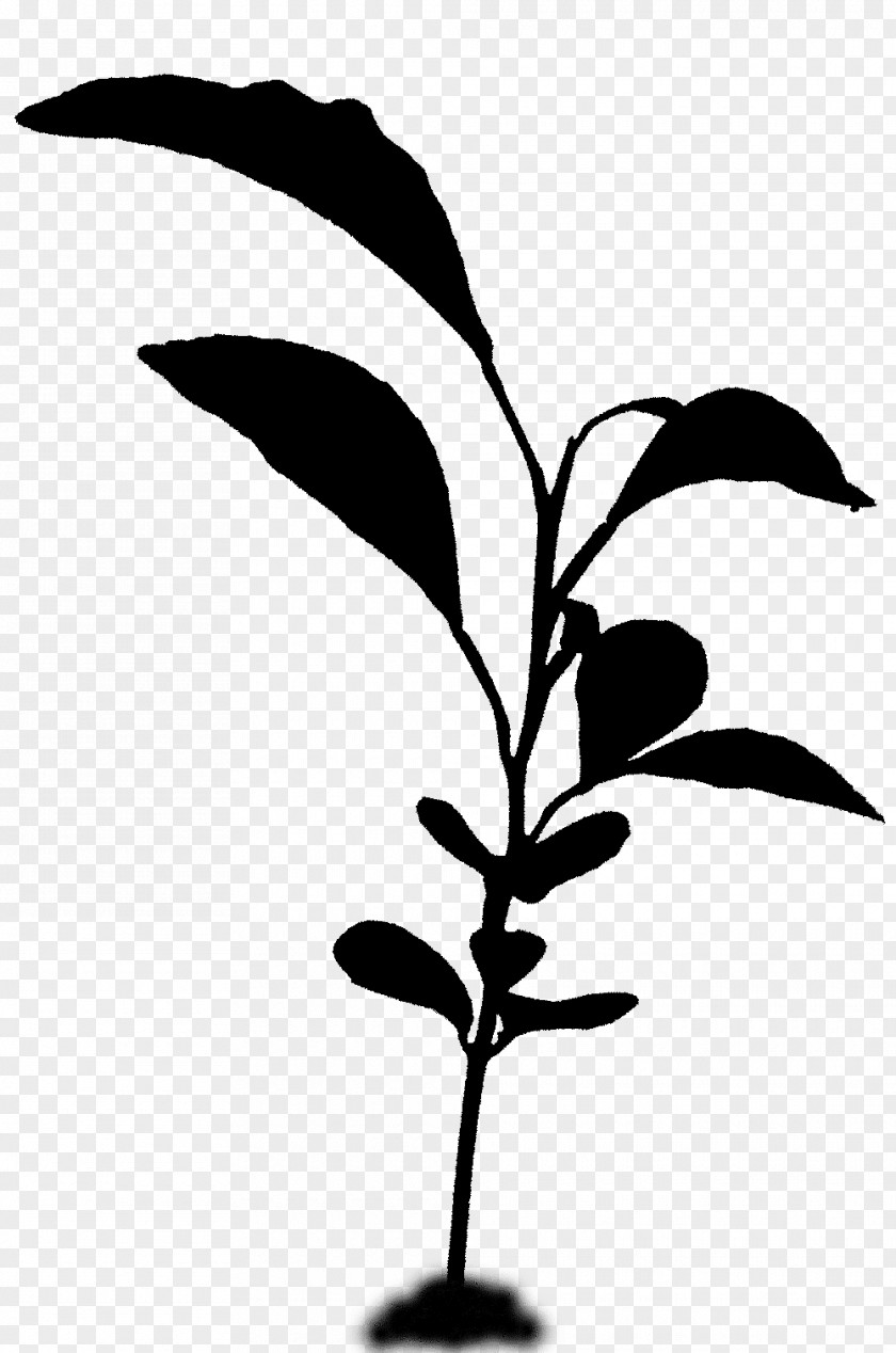 Twig Plant Stem Flower Leaf Silhouette PNG