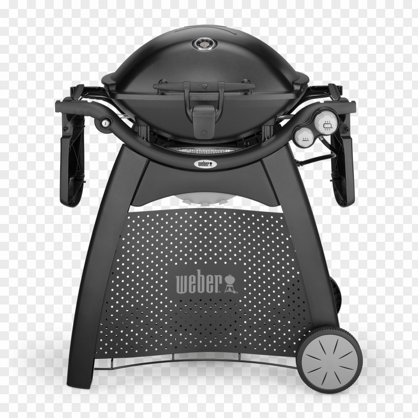 Barbecue Weber Q 3200 Weber-Stephen Products Gasgrill Propane PNG
