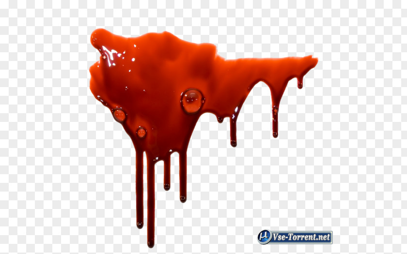 Blood Transparency Clip Art Image Desktop Wallpaper PNG