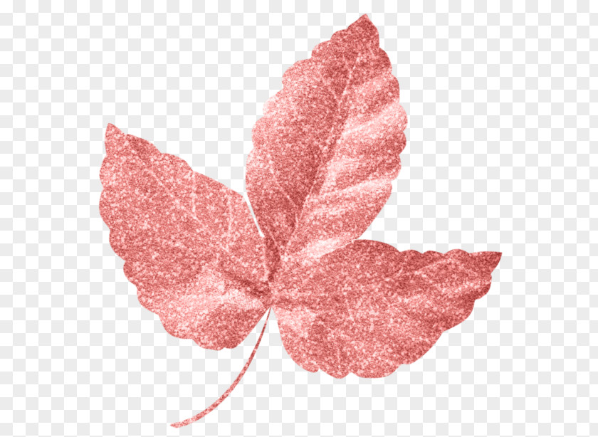 Floating Leaves Pink M PNG