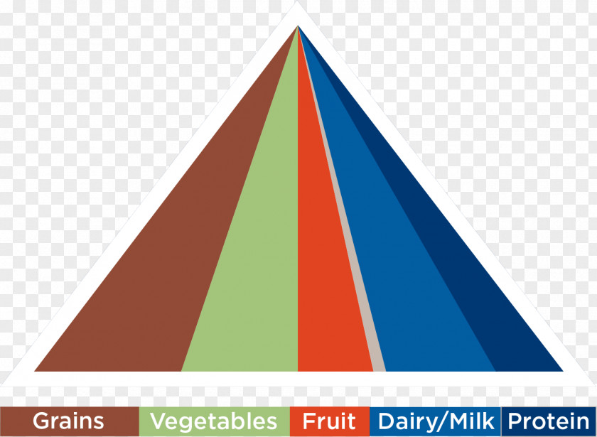 Fruit Anatomy Food Group Meal Health Eating PNG