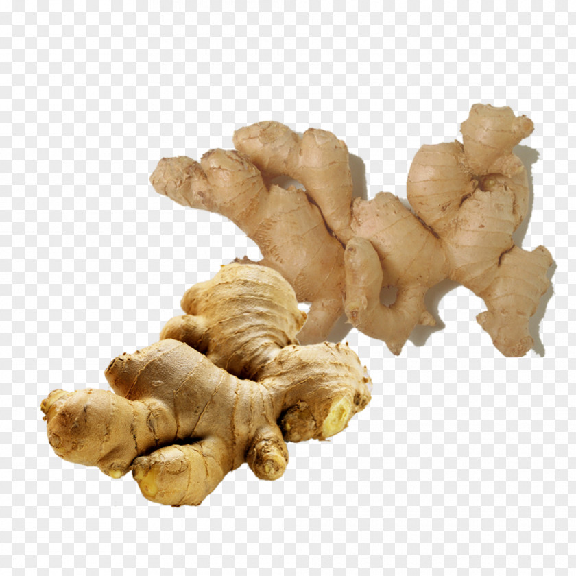 Ginger Pictures Essential Oil Distillation Food PNG