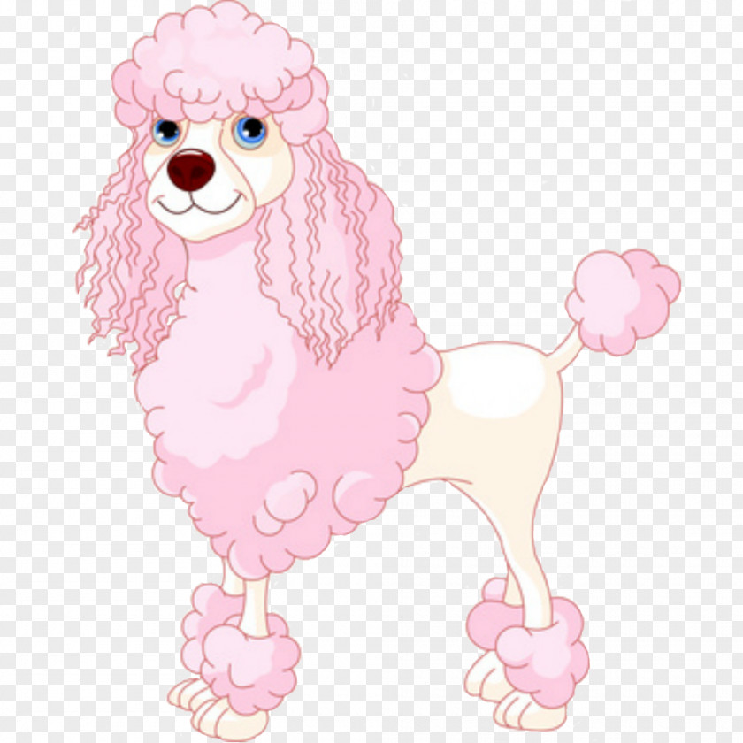 Poodle Toy Shih Tzu Puppy Clip Art PNG