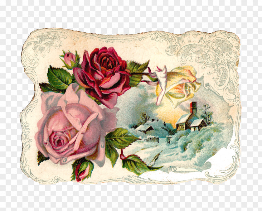 Vintage Rose Flower Clothing Pink Clip Art PNG