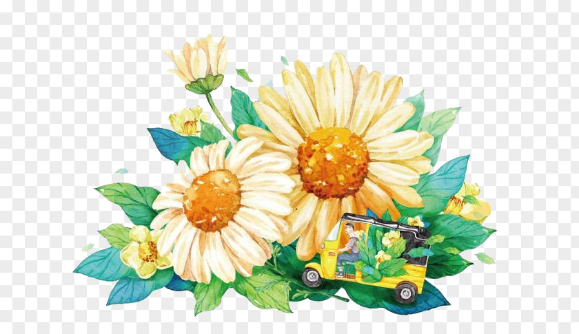 Watercolor Chrysanthemum Painting Cartoon Illustration PNG