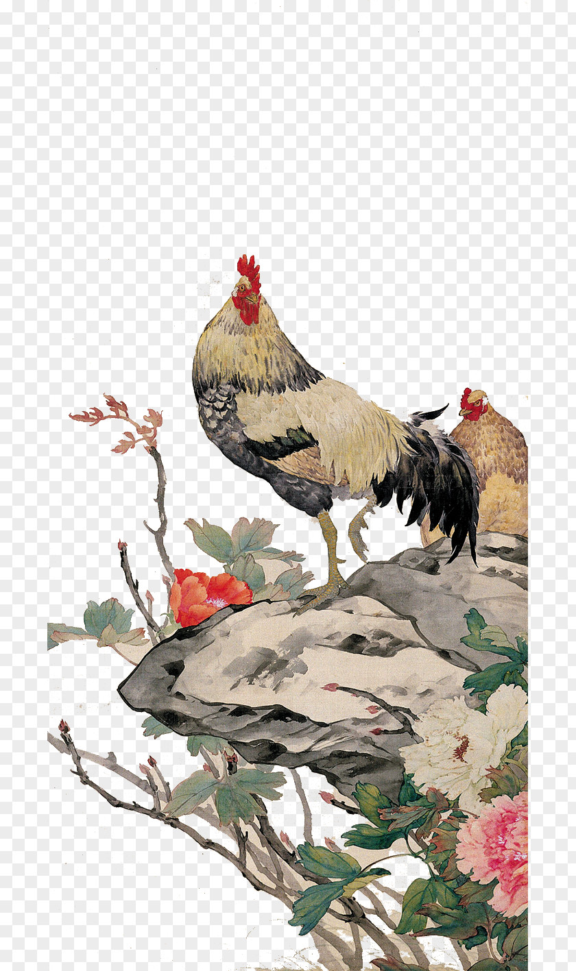 Chicken China Chinese Painting Painter Gongbi PNG