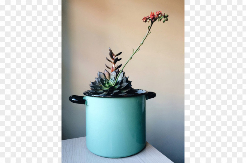 Design Houseplant Flowerpot Ceramic PNG