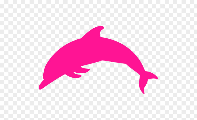 Dolphin Common Bottlenose Tucuxi Porpoise Clip Art PNG