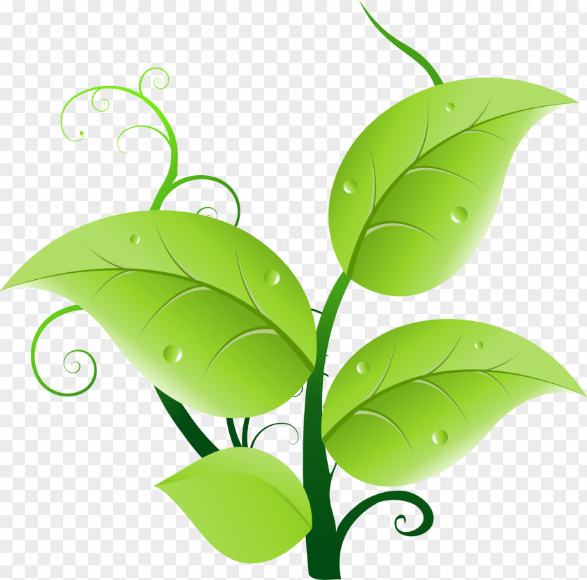 Green Leaves Leaf Clip Art PNG