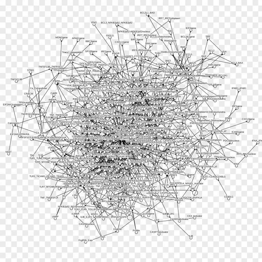Node Structure Line Symmetry Point White PNG