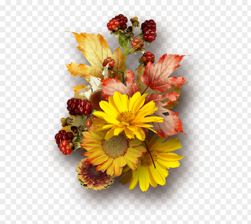 Retro Floral Plant Material Free Matting Flower Autumn Photography PNG