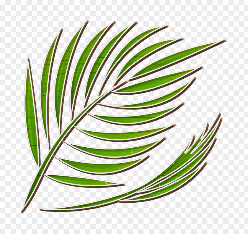 Summer Icon Palm PNG