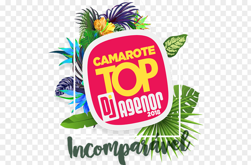 2018 Dj Party Camarote DJ Agenor (Micareta De Feira Santana) Square Meter PNG