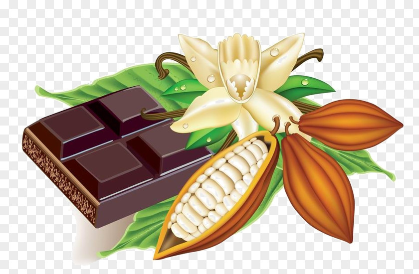 Chocolate Cocoa Bean Hot Clip Art Cacao Tree PNG