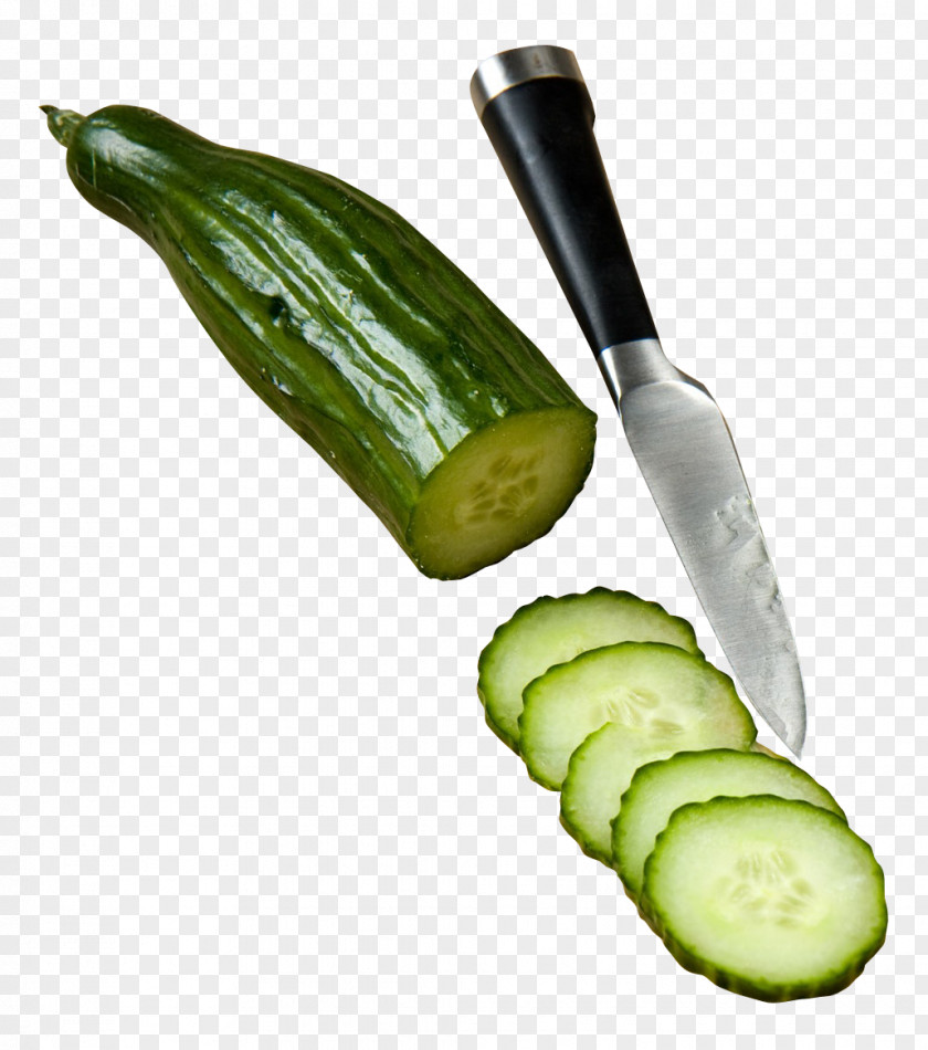 Cucumber Slices Vegetarian Cuisine Ingredient PNG
