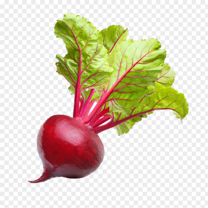 Fresh Style Posters Beetroots Vegetable Food Chard PNG