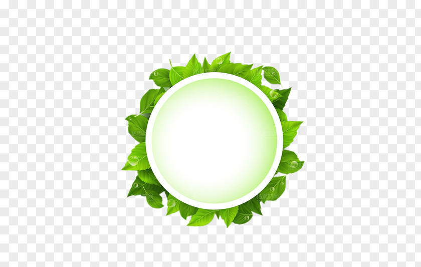 Leaves PNG clipart PNG