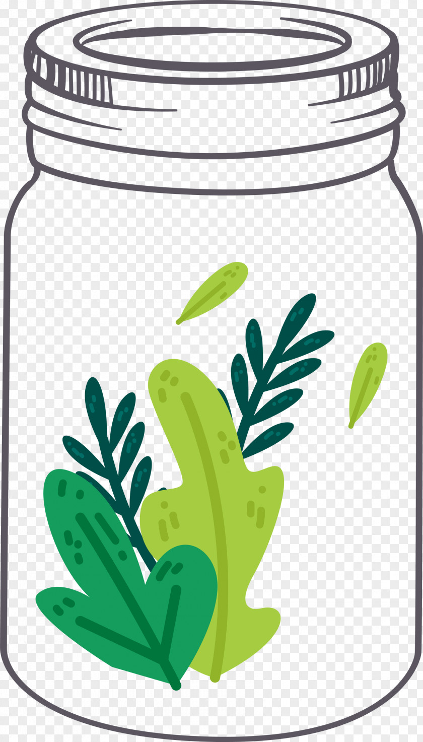 MASON JAR PNG