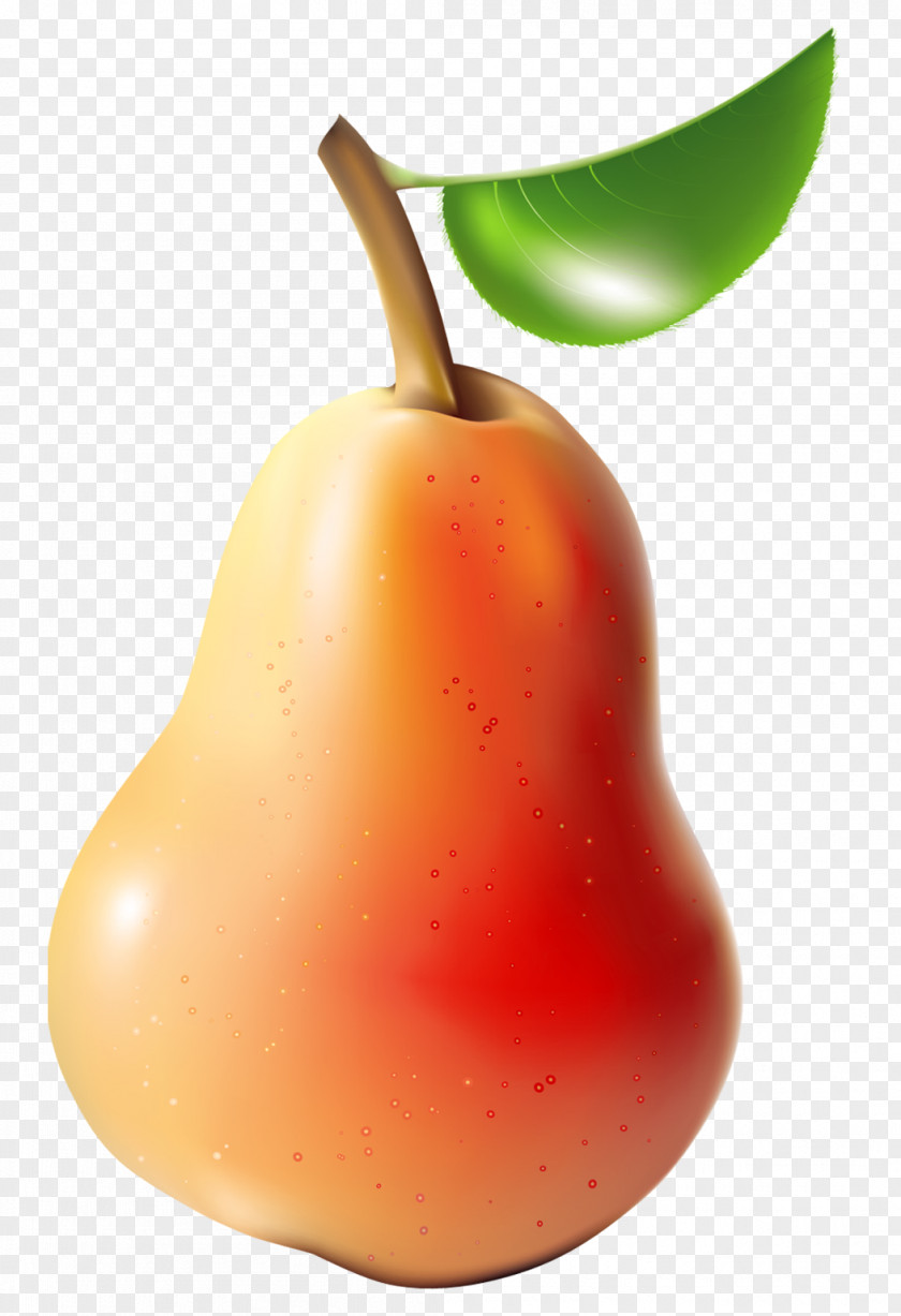 Pear Pictures Fruit Clip Art PNG