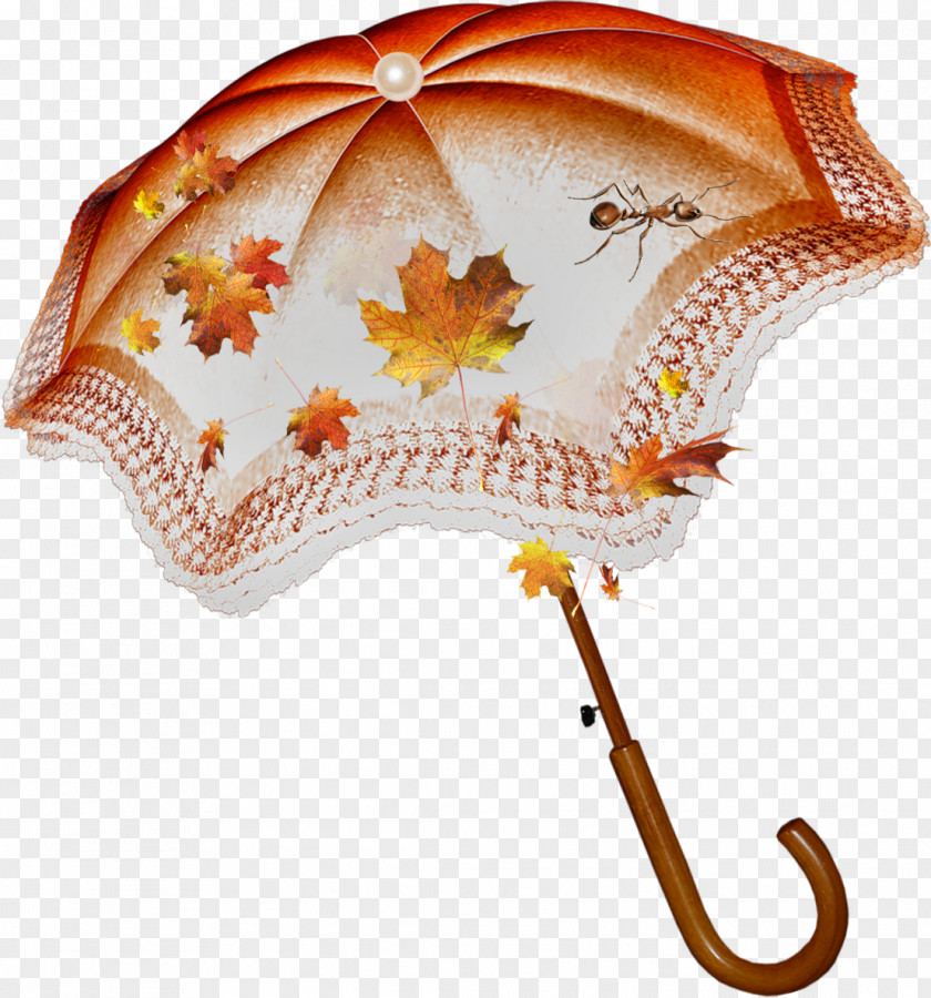 Plash Umbrella Blog Autumn Collage Clip Art PNG