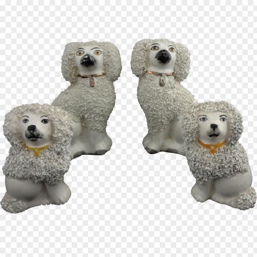 Poodle Standard Cockapoo Miniature Puppy PNG