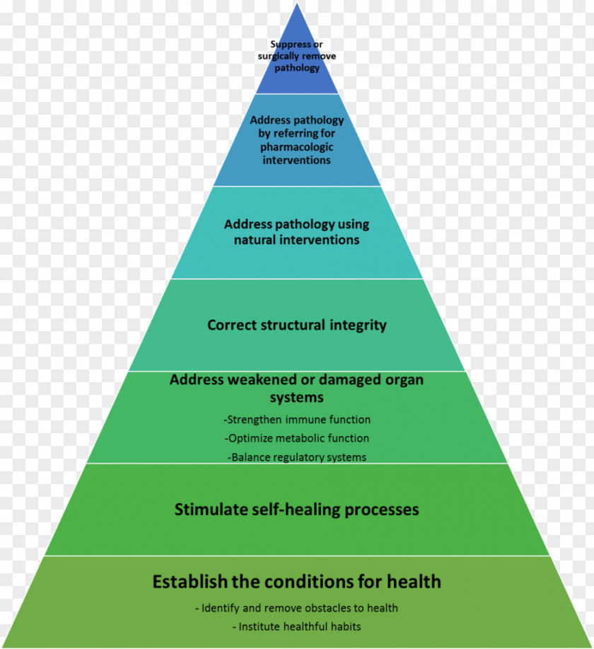 Traditional Chinese Medicine Feudalism Pig Chart PNG