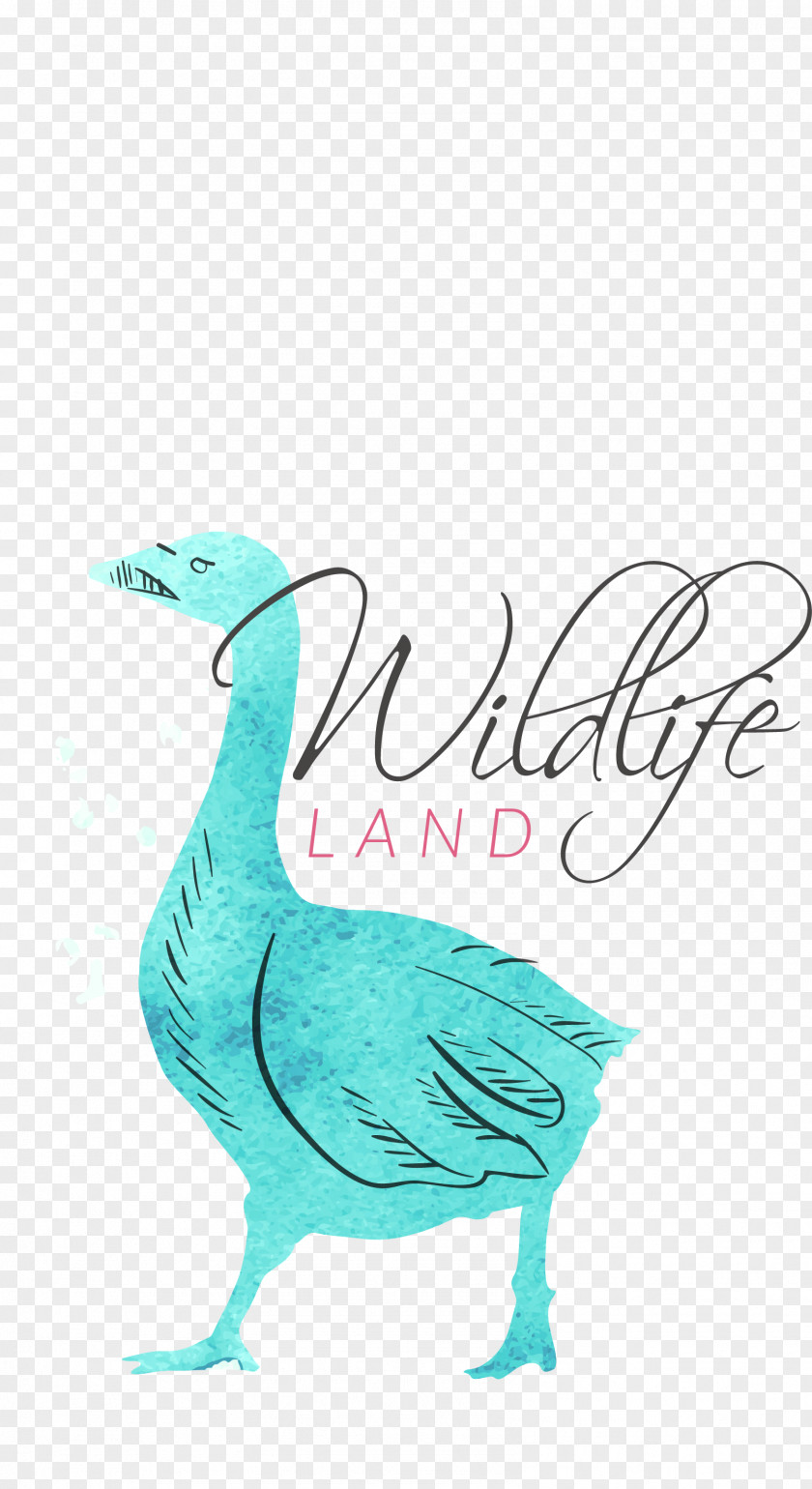 Vector Ducks Watercolor Painting Logo Illustration PNG