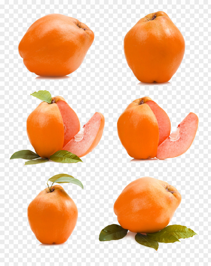 Apple Fruit Leaf Clementine Mandarin Orange Auglis PNG