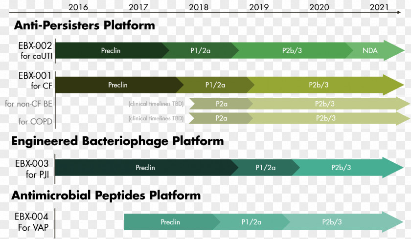 Business Infection EnBiotix, Inc. Cystic Fibrosis Drug Pipeline PNG