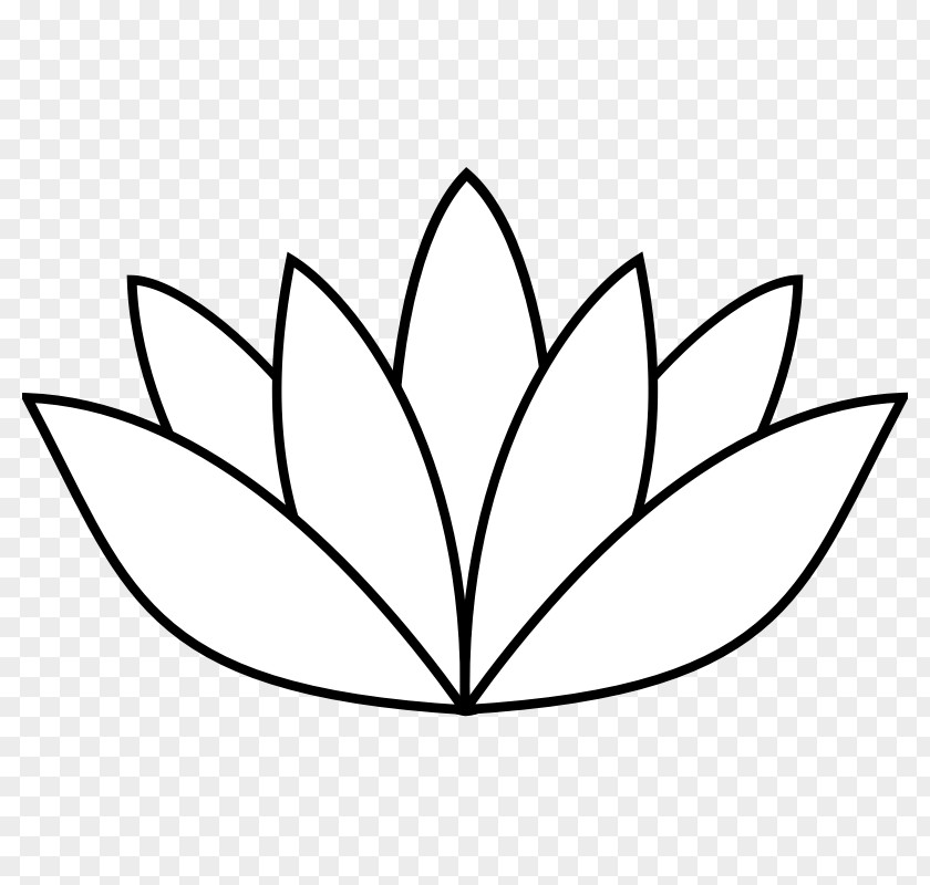 Flower Outline Pictures Drawing Nelumbo Nucifera Line Art Clip PNG