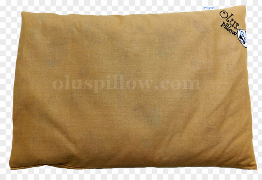 Pillow Throw Pillows Cushion Bolster Couch PNG