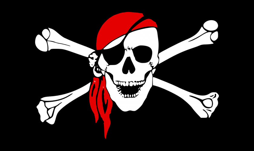Pirates Flag Of The United States Jolly Roger PNG