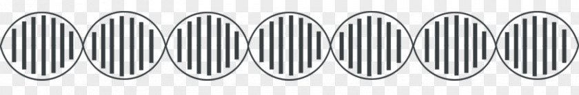 Vector DNA Nucleic Acid Double Helix Cell PNG