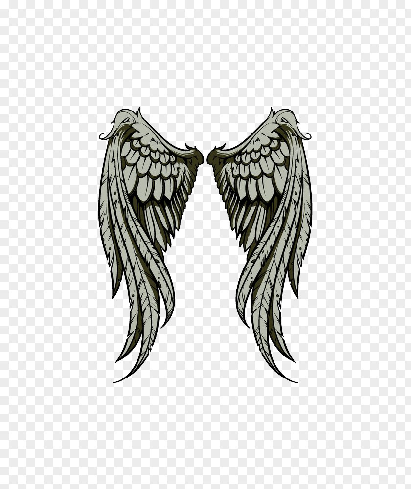 Vector Wings Drawing Illustration PNG