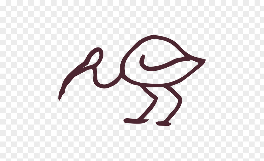 Coloring Book Tail Bird Line Drawing PNG