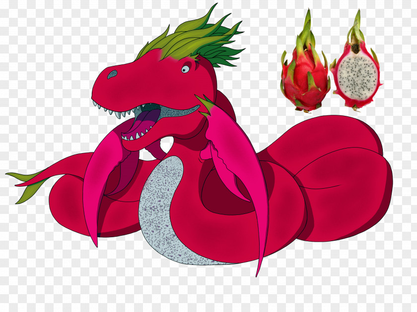 Dragon Fruit Seed Pitaya Plant PNG