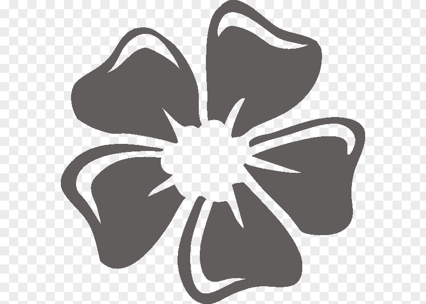 Flower Bumper Sticker Petal Car PNG