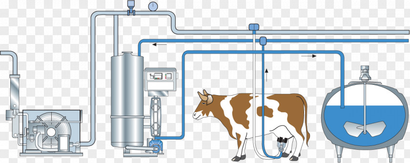 Milk Flow Quality Cattle Dairy Processing Handbook PNG