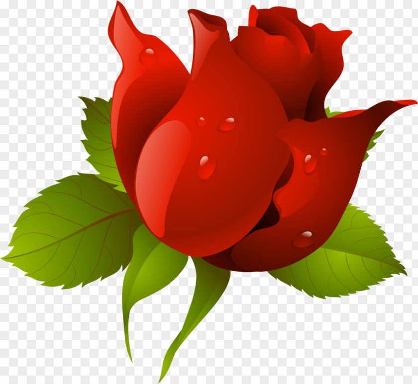 Rose Desktop Wallpaper Flower Clip Art PNG