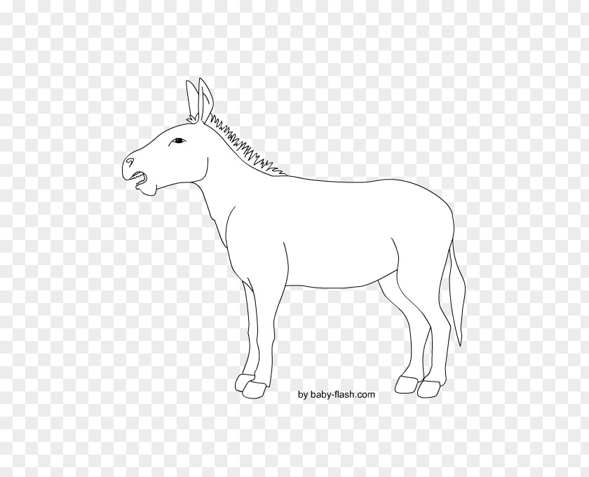 Asino Mule Mustang Donkey Mane Clip Art PNG