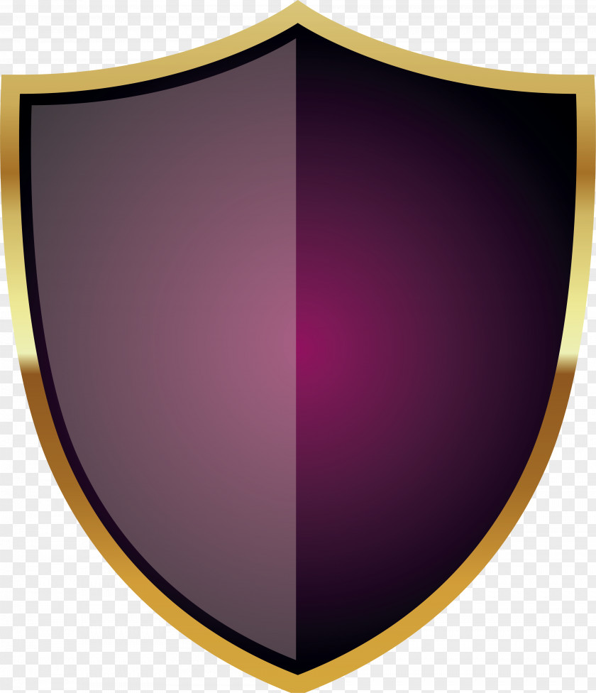 Knight Shield Icon PNG