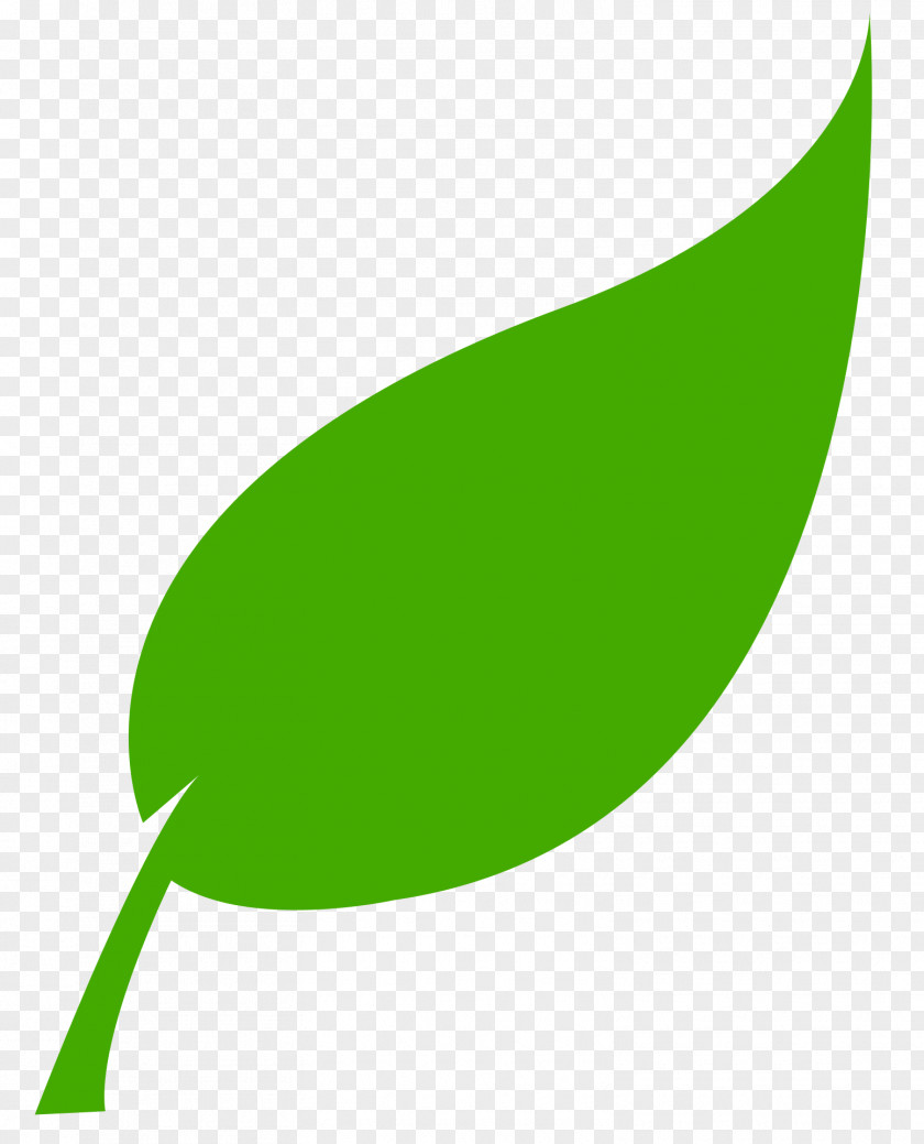 Leaf Renewable Energy Solar Service Food PNG