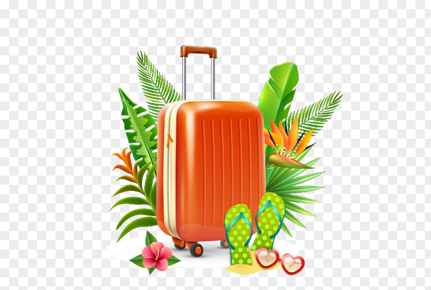 Suitcase Summer Vacation Holiday Clip Art PNG