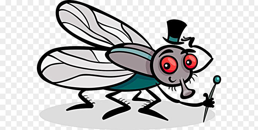 Cartoon Mosquito Material Insect Housefly Coloring Book Illustration PNG