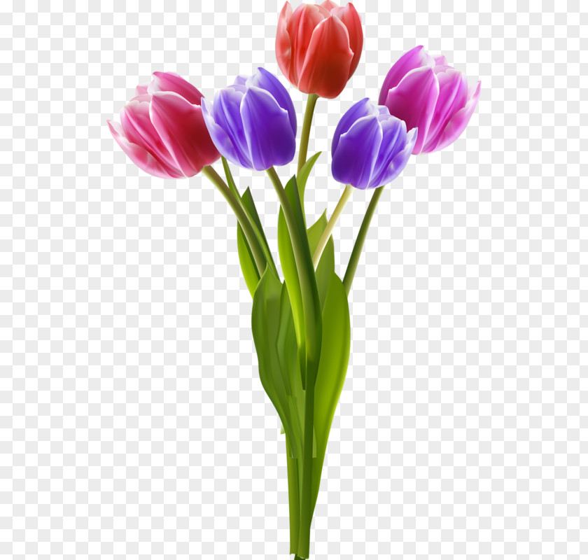 Hand-painted Tulip Vase Flower Bouquet Clip Art PNG