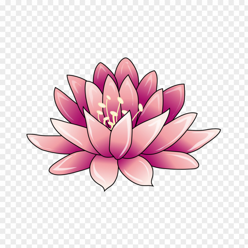 Paper Design Nelumbo Nucifera Drawing Petal PNG