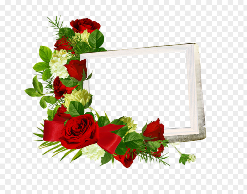 Rose Garden Roses Picture Frames Image PNG